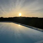 Solini