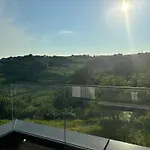 Solini *