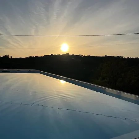 Solini
