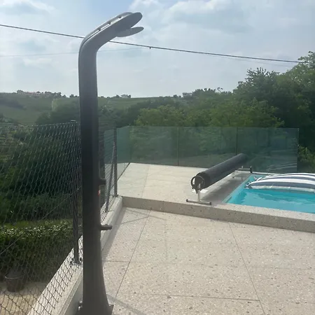 Solini