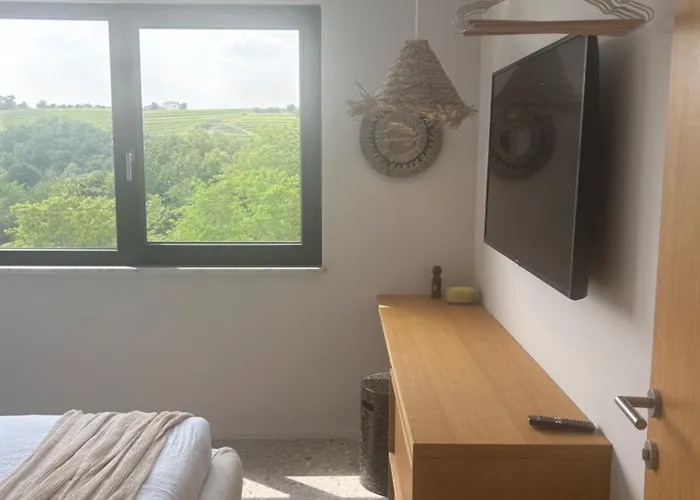 Βίλα Solini Kozana